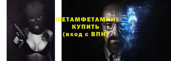 PSILOCYBIN Горняк
