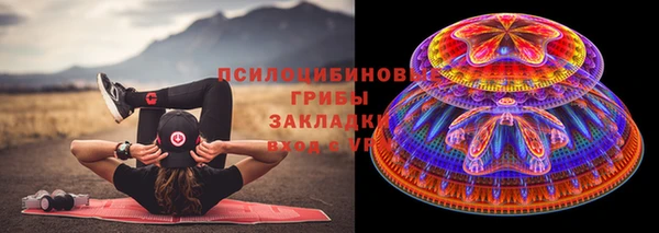 PSILOCYBIN Горняк